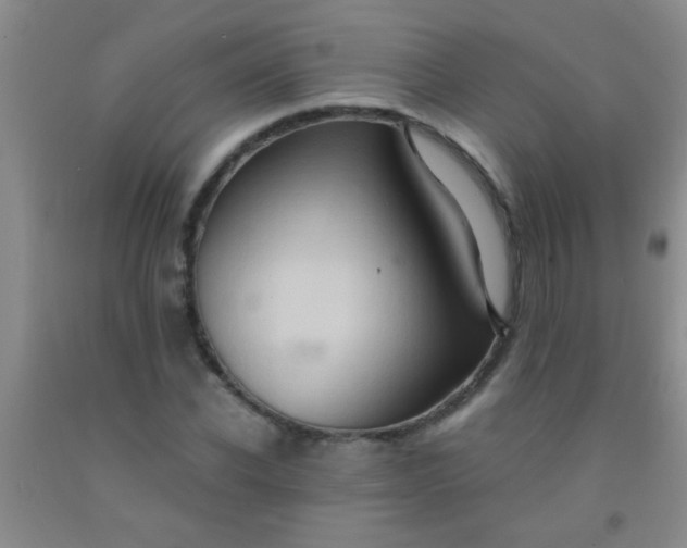 X0000092020926200709201549