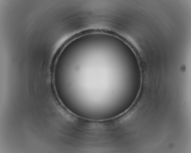 X0000092020927200709201549