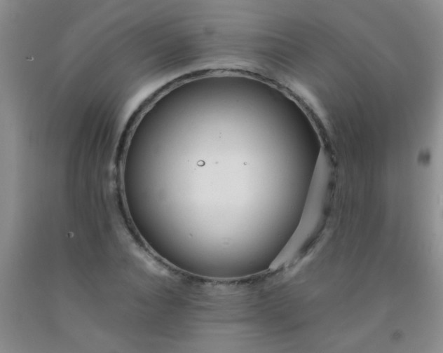 X0000092020928200709201549