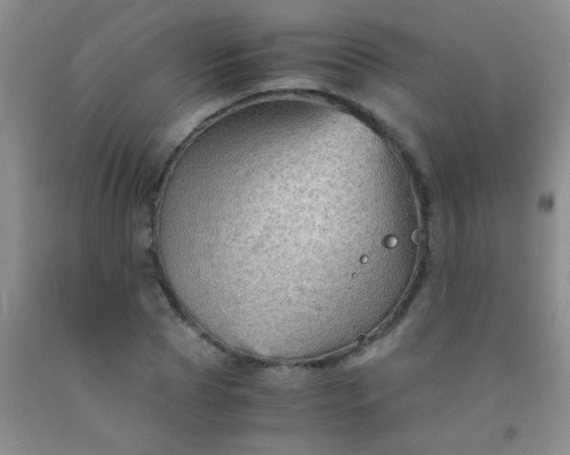 X0000092020929200709201549