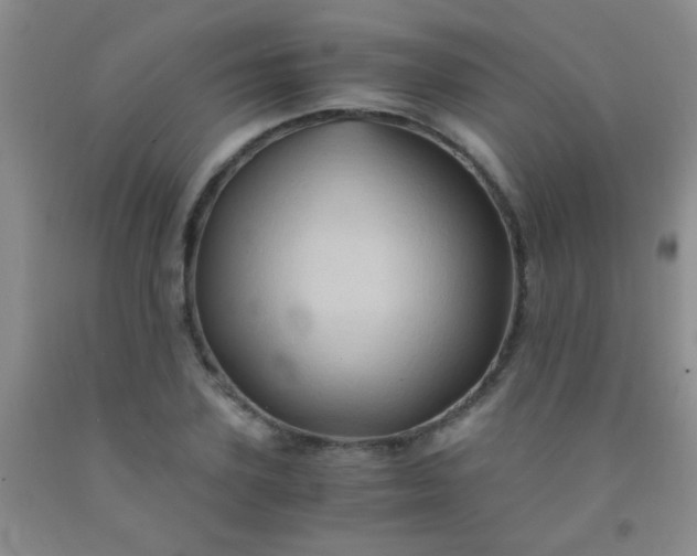 X0000092020931200709201549