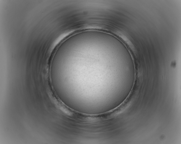 X0000092020933200709201549