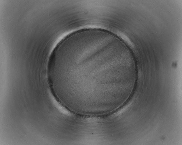 X0000092020934200709201549