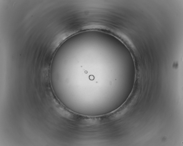 X0000092020937200709201549