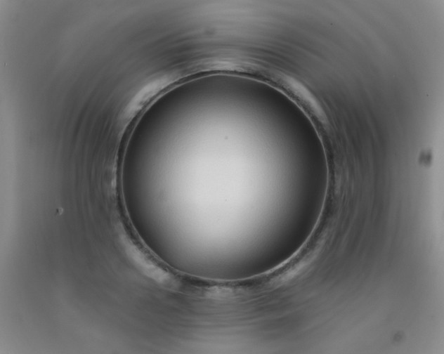 X0000092020938200709201549