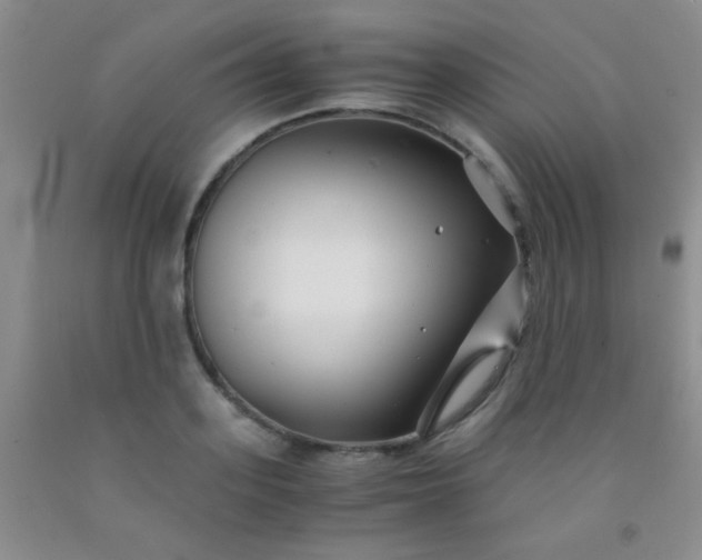 X0000092020939200709201549