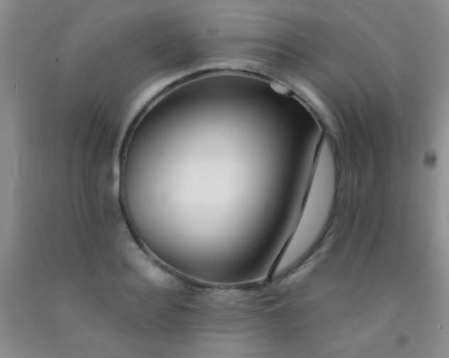 X0000092020940200709201549