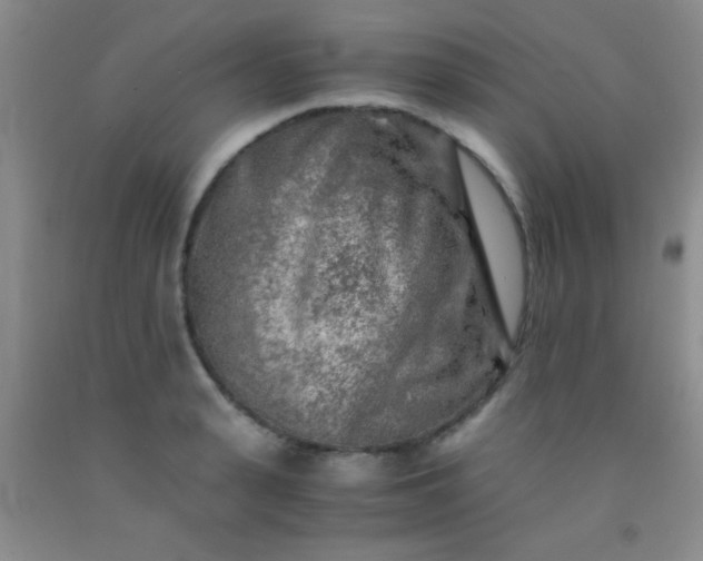 X0000092020943200709201549