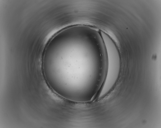 X0000092020944200709201549