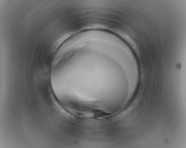 X0000092020945200709201549