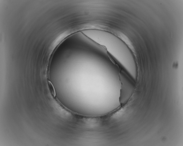 X0000092020946200709201549