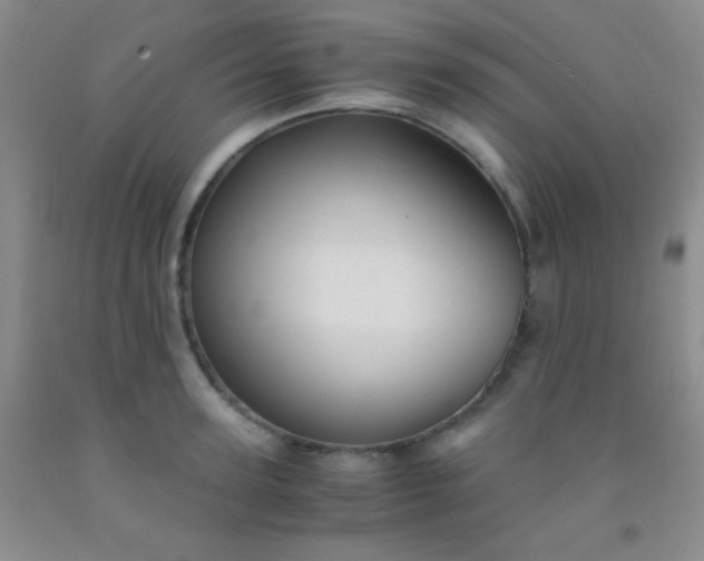 X0000092020947200709201549