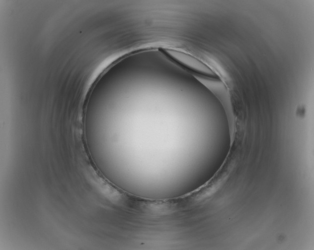 X0000092020948200709201549