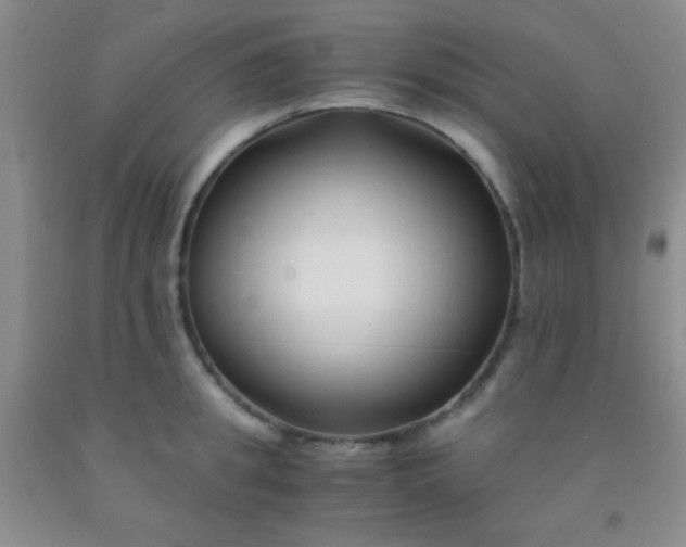 X0000092020949200709201549