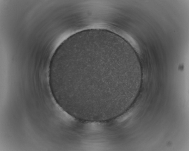 X0000092020950200709201549