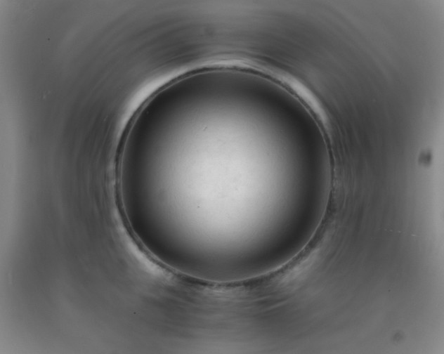 X0000092020951200709201549