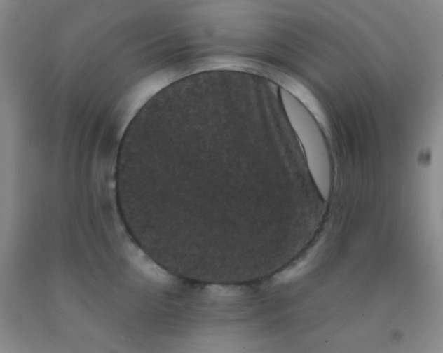 X0000092020954200709201549