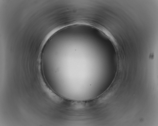 X0000092020955200709201549