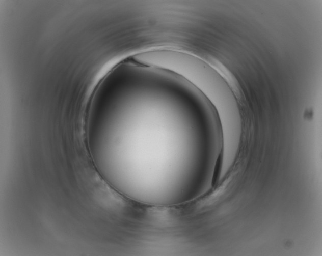 X0000092020956200709201549