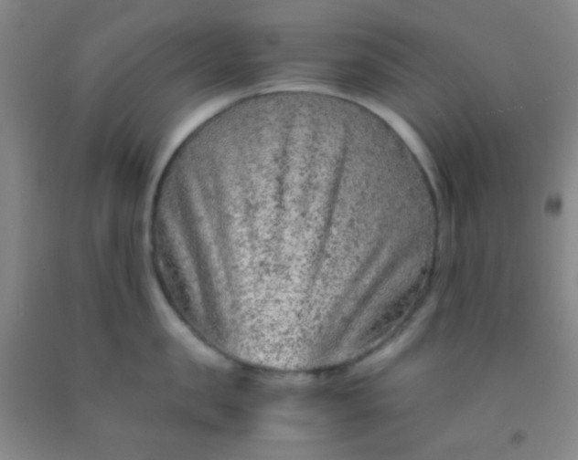 X0000092020957200709201549