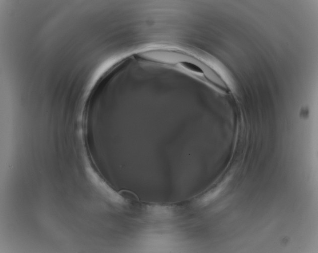 X0000092020958200709201549