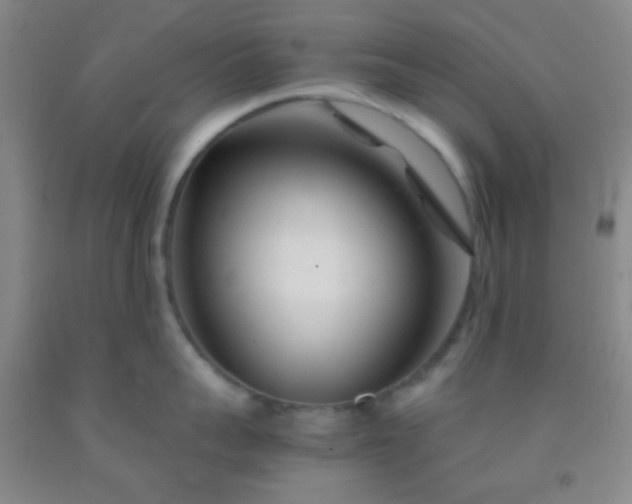 X0000092020959200709201549