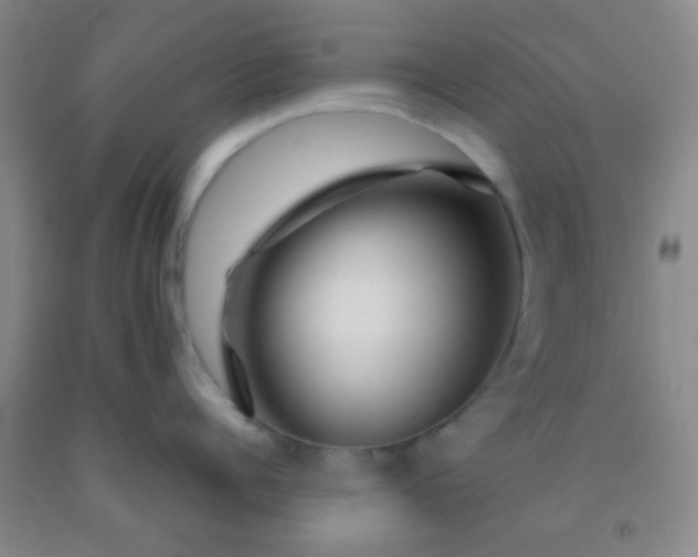 X0000092020960200709201549