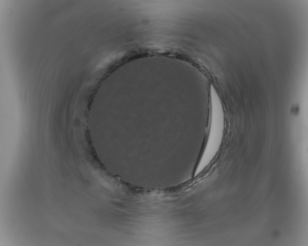 X0000092020961200709201548