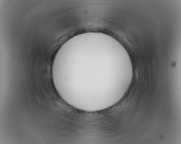 X0000092020964200709201548