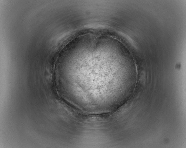 X0000092020966200709201548