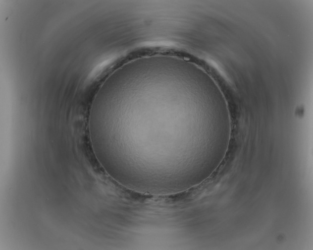 X0000092020967200709201548