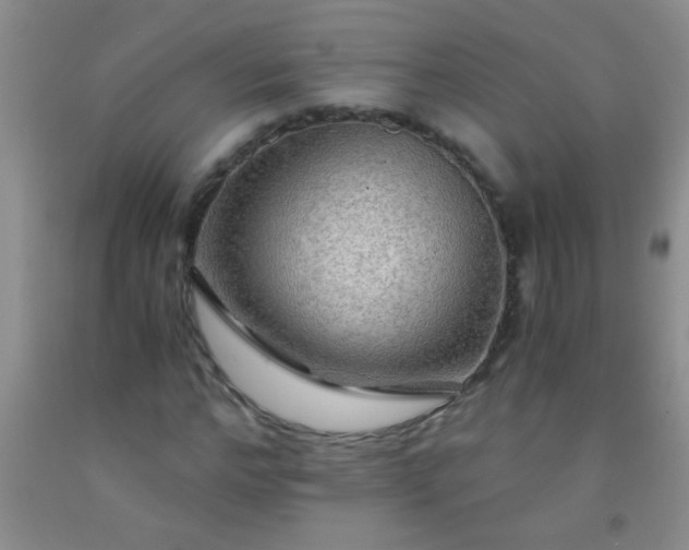 X0000092020968200709201548