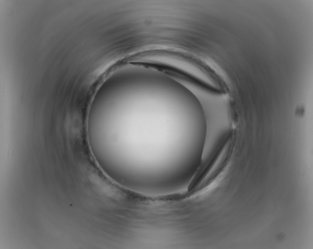 X0000092020969200709201548