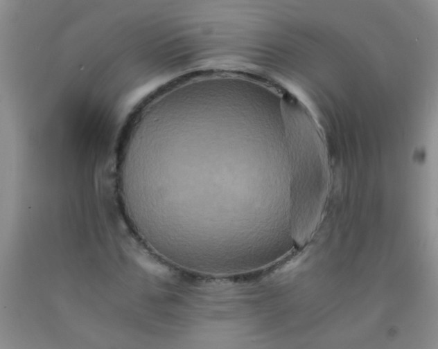 X0000092020971200709201548