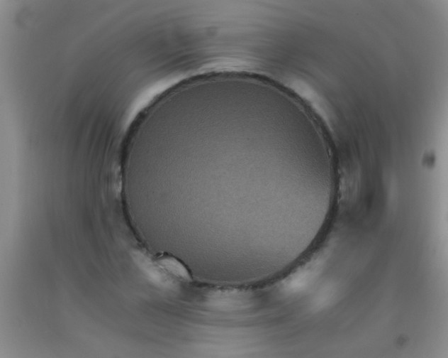 X0000092020973200709201548