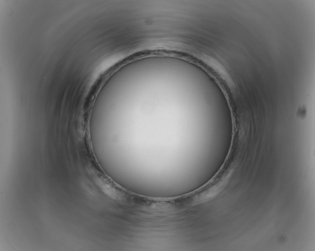 X0000092020974200709201548