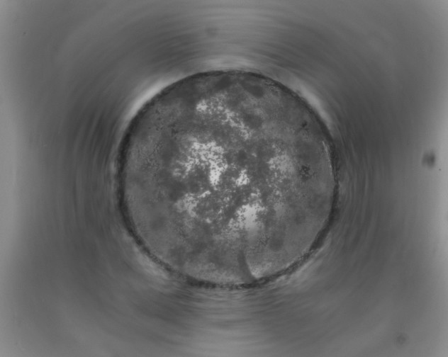 X0000092020975200709201548