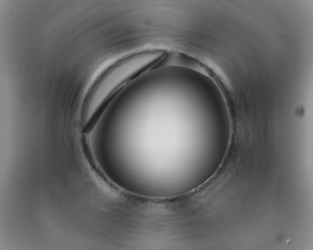 X0000092020976200709201548