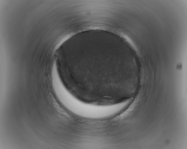 X0000092020977200709201548