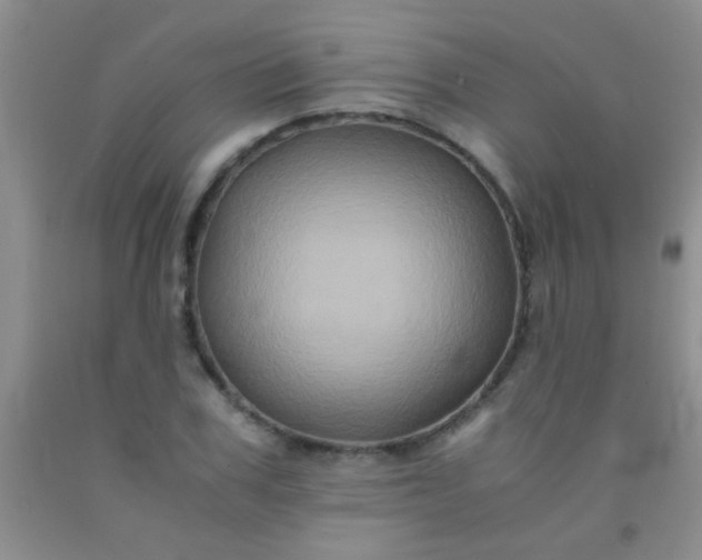 X0000092020979200709201548