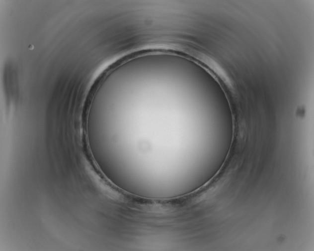 X0000092020980200709201548