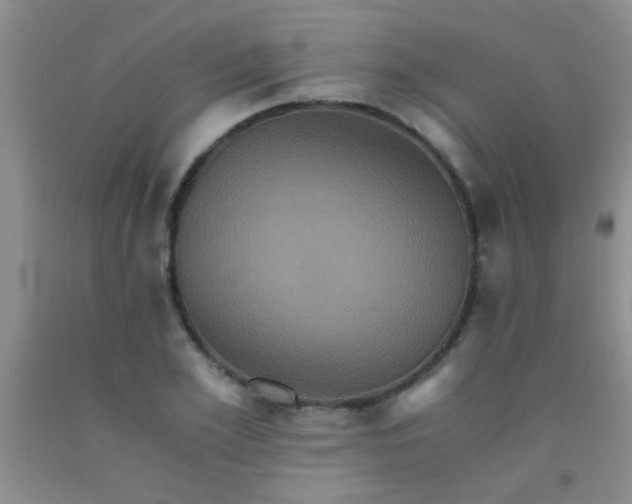 X0000092020981200709201548