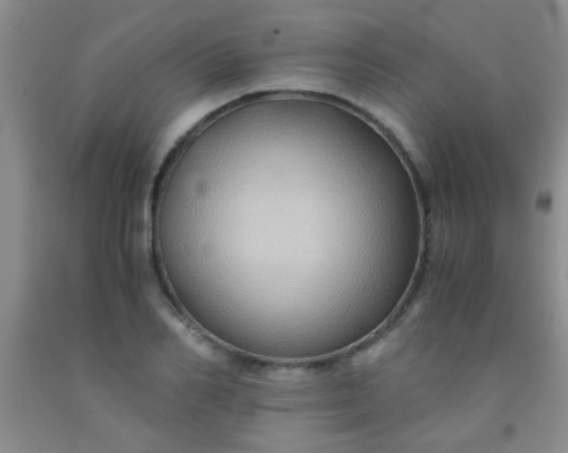 X0000092020982200709201548