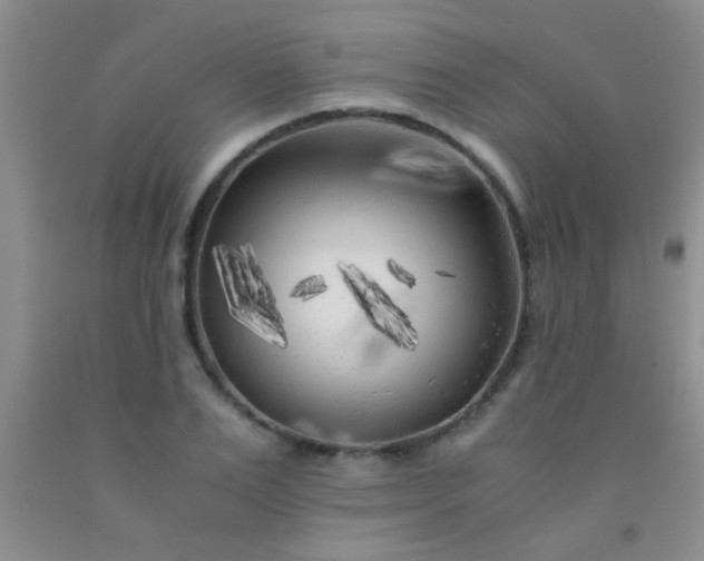 X0000092020983200709201548