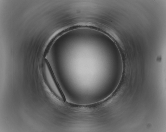 X0000092020984200709201548