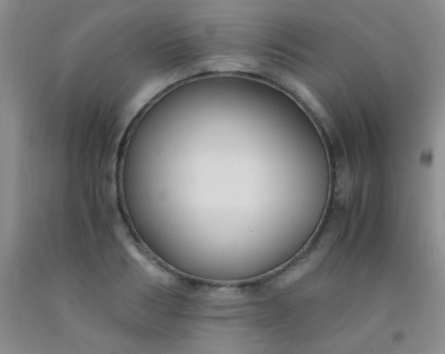 X0000092020986200709201548