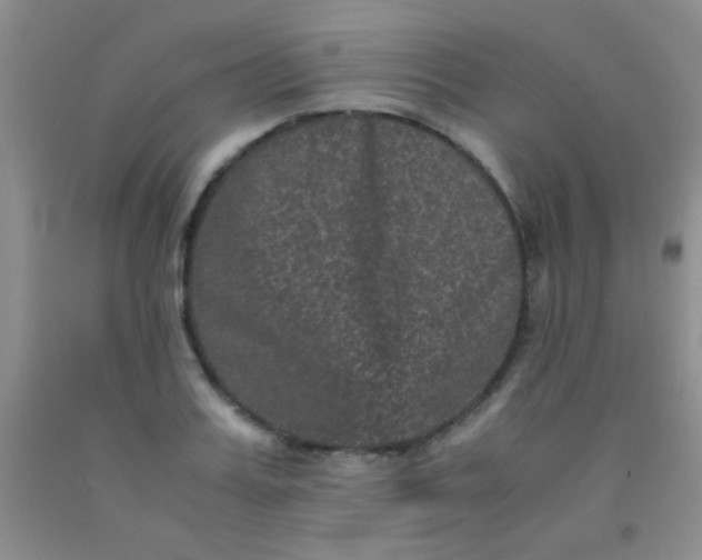 X0000092020987200709201548