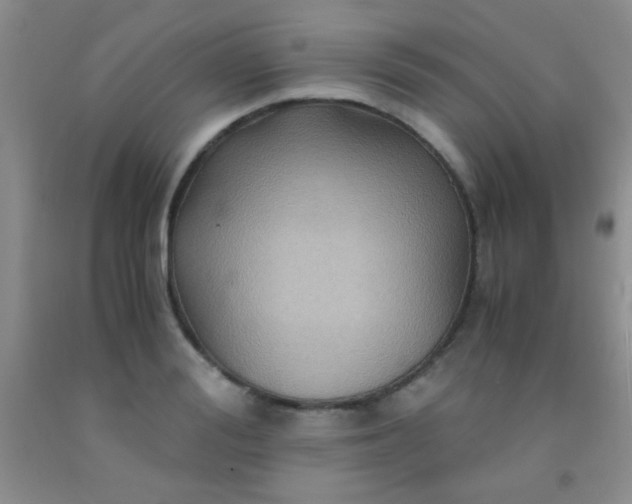 X0000092020988200709201548