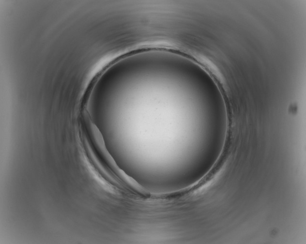 X0000092020989200709201548