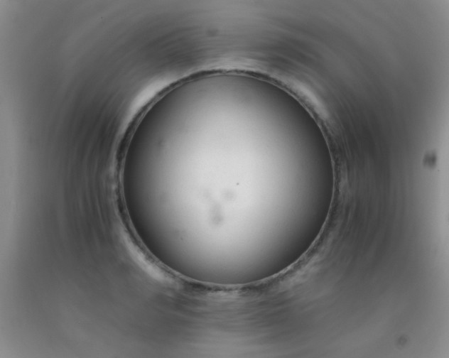 X0000092020990200709201548